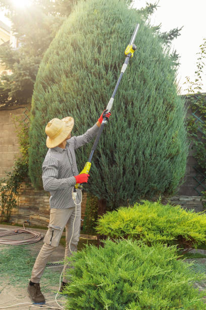 Reliable New City, NY Tree Removal and Landscaping Services Solutions